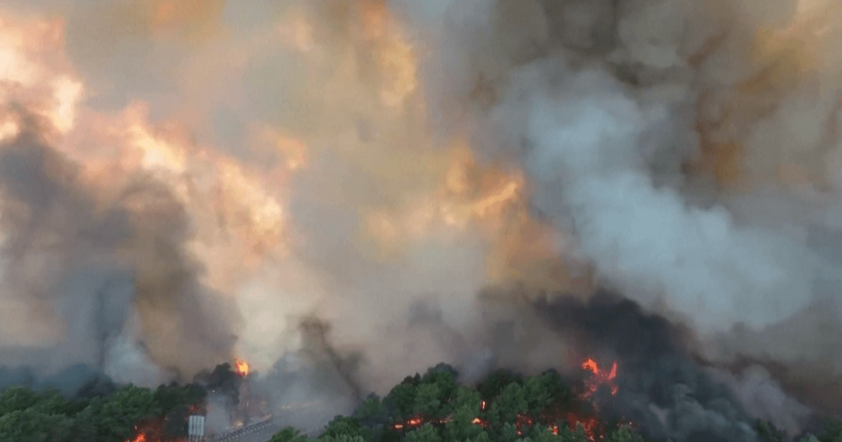 France Deploys Southern Firefighting Planes to Tackle Rare Wildfire Near Paris