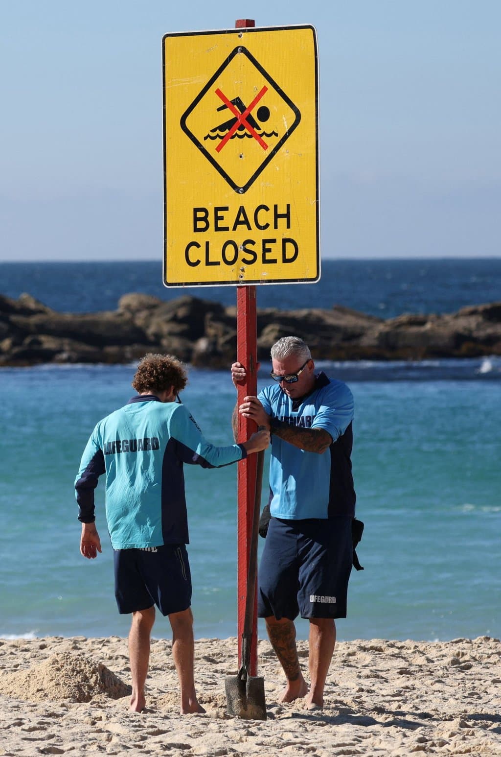Woman Critically Injured in Shark Attack Off Sydney Beach